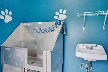 Pet spa